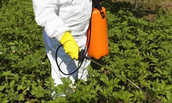 Токсичные гербициды и инсектициды
