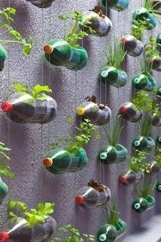 Вертикальные грядки из пластиковых бутылок