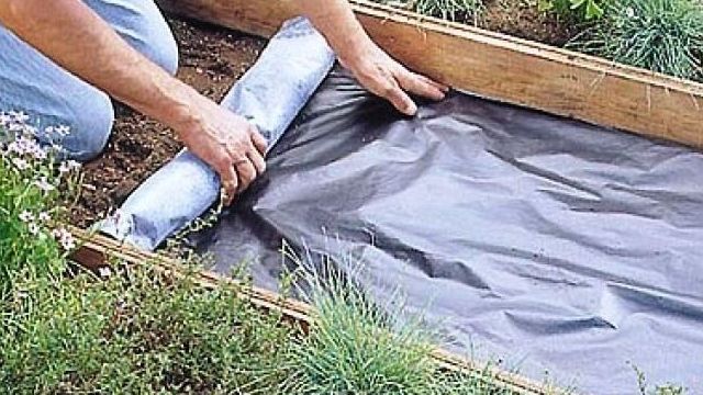 Укрывной материал от сорняков на грядках: черная пленка, геотекстиль, агроволокно, как использовать, цена