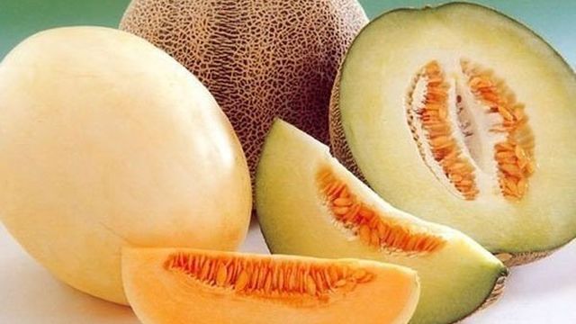 Почему плод дыни может сильно горчить