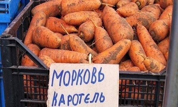 Морковь немытая россия