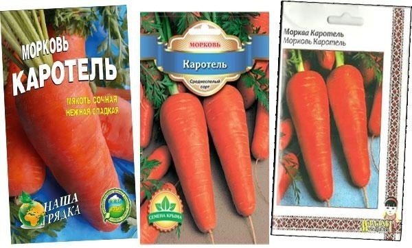 Семена морковь каротель