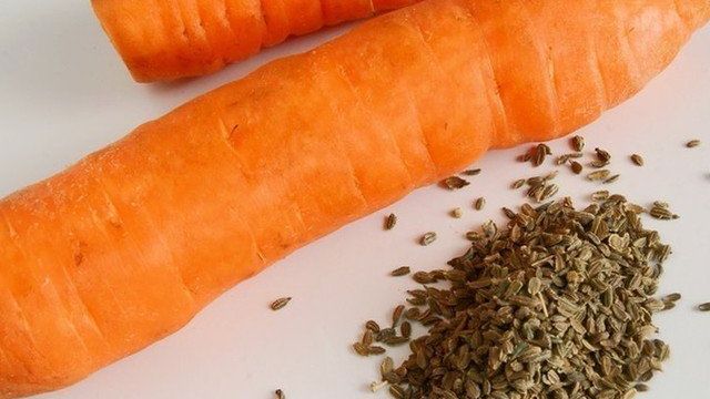 Обработка семян моркови перед посадкой для быстрых всходов