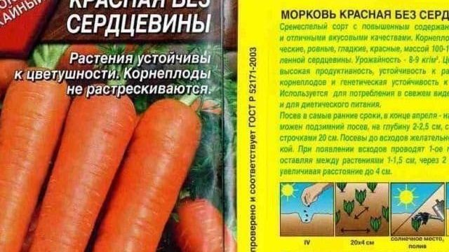 Особенности красной моркови без сердцевины